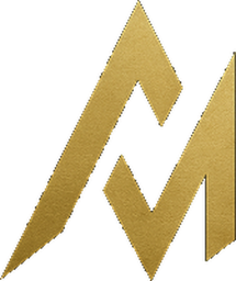 Advanced Medias logo
